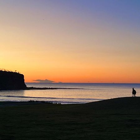 Alexander'S Cottage, Pebbly Beach East Lynne エクステリア 写真