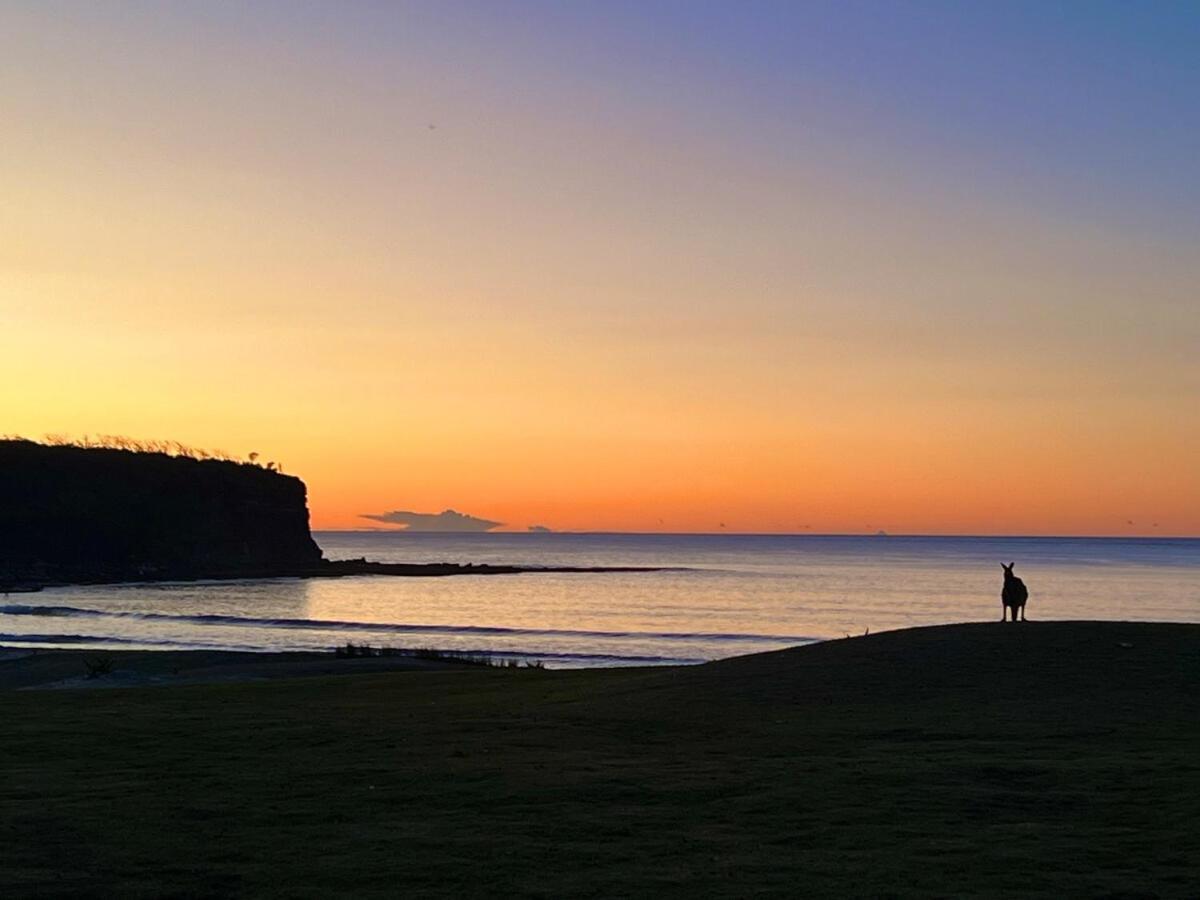 Alexander'S Cottage, Pebbly Beach East Lynne エクステリア 写真