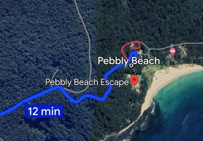 Alexander'S Cottage, Pebbly Beach East Lynne エクステリア 写真
